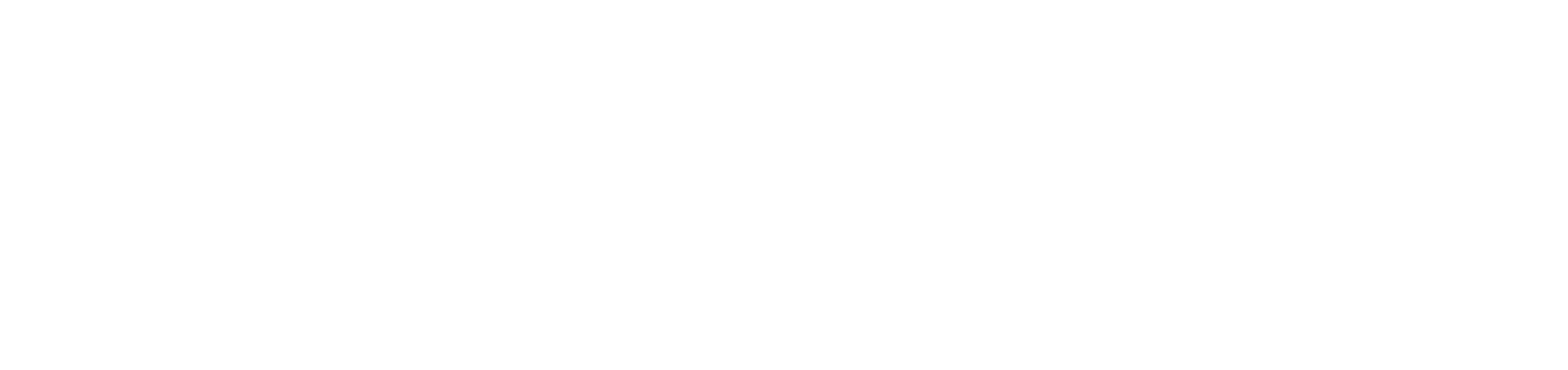 Logo of Northpoint Consulting with a stylized geometric design on the left and the company name in bold, uppercase letters to the right.