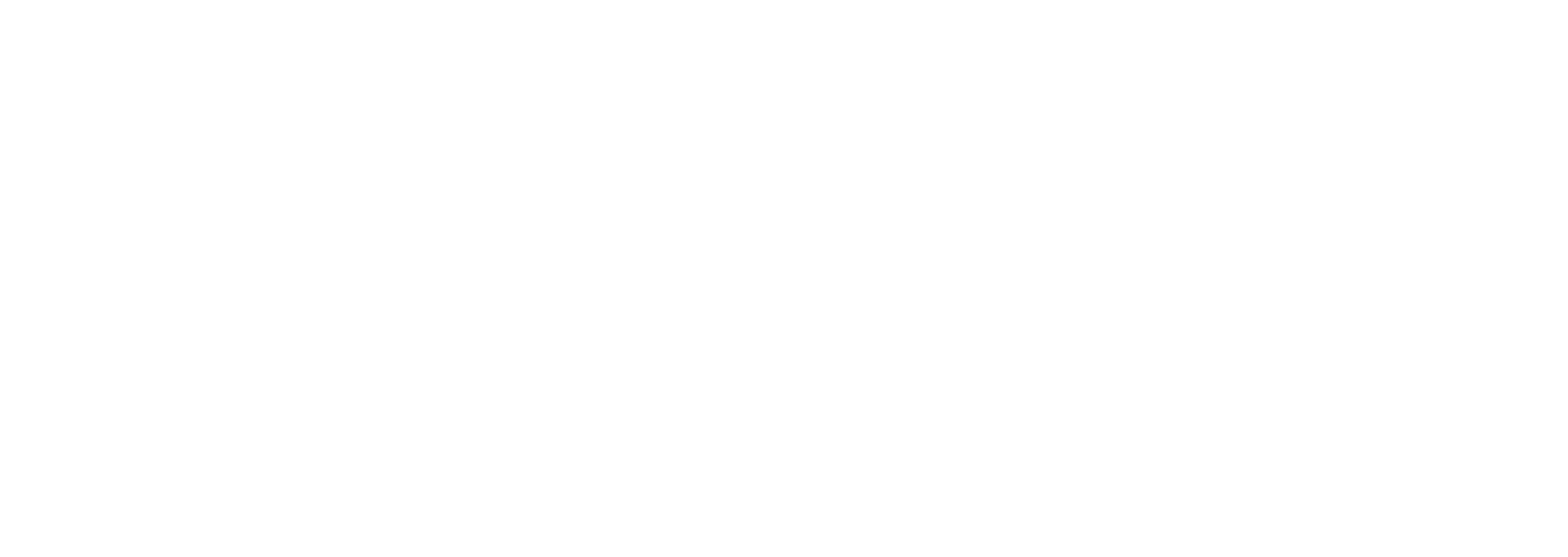 Logo of Worldwide Electric Corporation featuring a stylized globe on the left and the company name in bold text on the right. The design is in white against a transparent background.