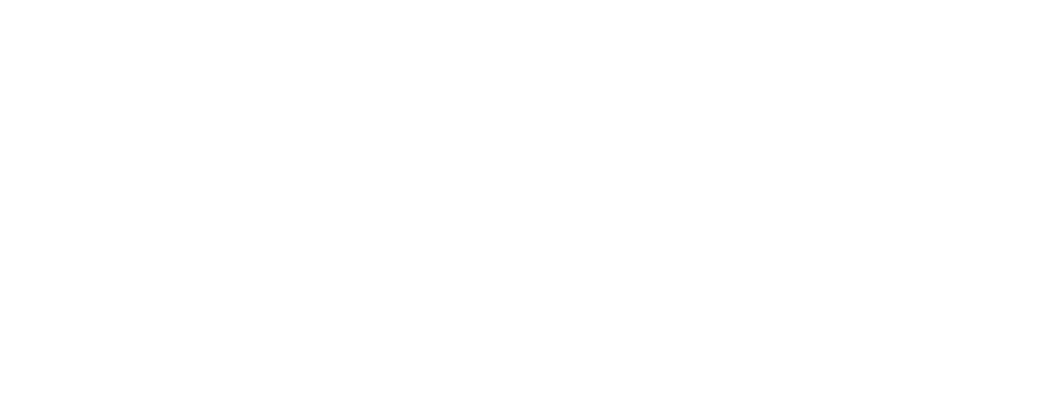 Logo of Pro Roofing featuring a stylized house within a shield shape on the left and the words PRO ROOFING in bold uppercase letters on the right. The design is in a white monochrome style.