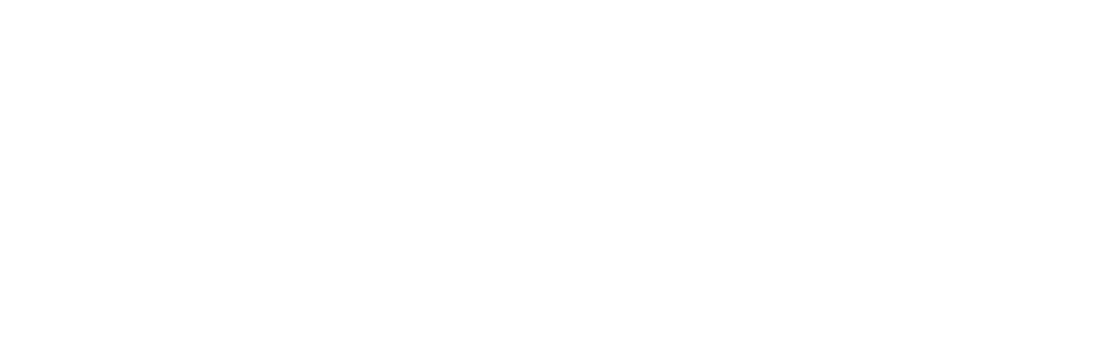 Logo of MountainSeed featuring stylized white mountain peaks above the company name in bold white text on a transparent background.